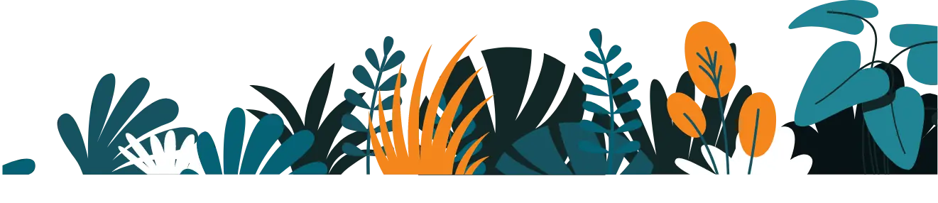 décor plantes